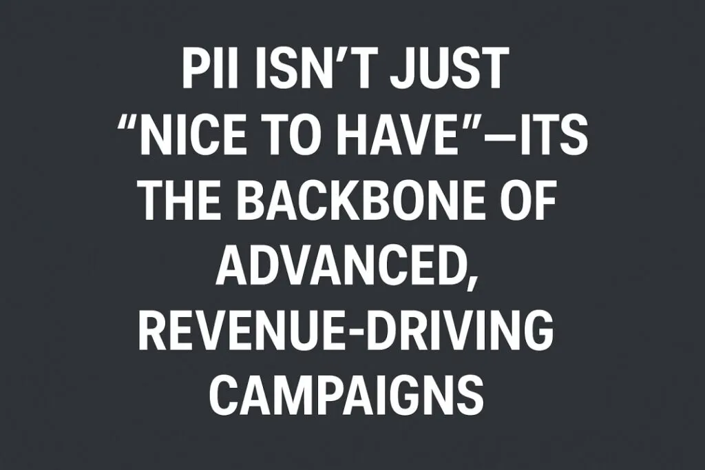This image explains the quote text - PII isn't just nice to have - its the backbone od advanced revenue driving campaigns