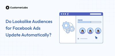 Do Lookalike Audiences for Facebook Ads Update Automatically?