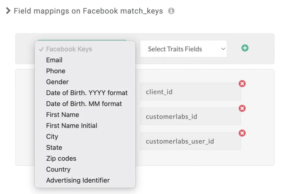mapping essential identifier fields (email, phone, first/last name, date of birth, etc.) to Facebook’s match keys