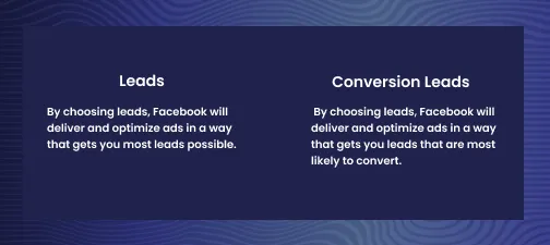 Leads vs Conversion Leads