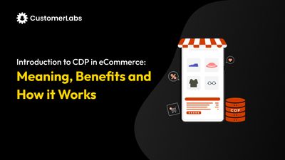 Introduction to Customer Data Platforms in eCommerce: Meaning, Benefits and How it Works