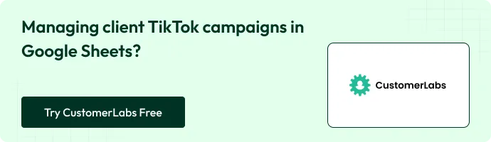 CTA Managing client tiktok campaigns in google sheets
