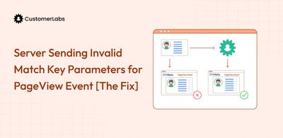 Server Sending Invalid Match Key Parameters for PageView Event [The Fix]