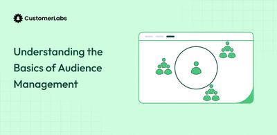 Understanding the Basics of Audience Management