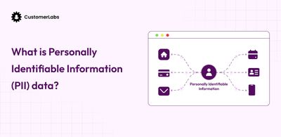 What is PII (Personally Identifiable Information) Data?