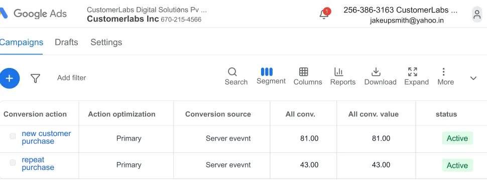 This image shows the campaigns new customer purchase and repeat customer purchase inside Google adwords