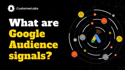 Audience Signals in Google Ads Explained