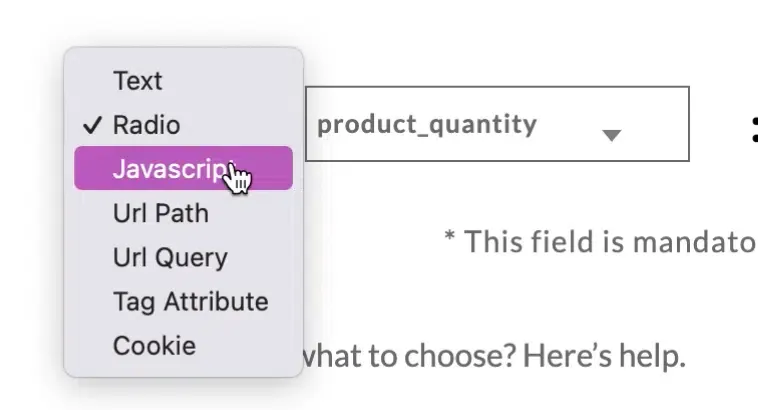 JavaScript source field