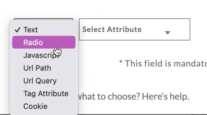 Radio source selected for a radio button group